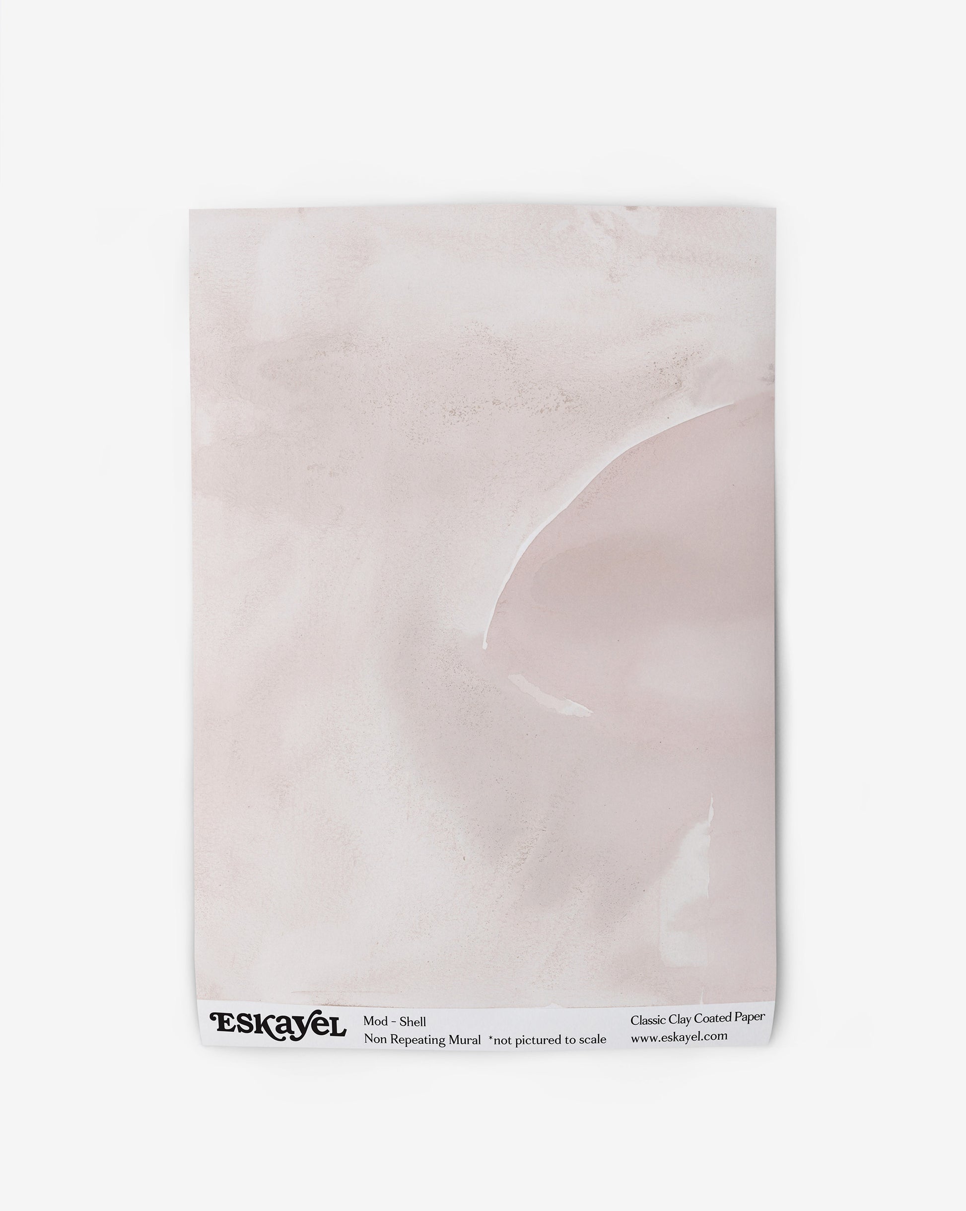 A piece of Mod Mural Wallpaper||Shell with a pink background featuring subtle shapes and an abstract design.