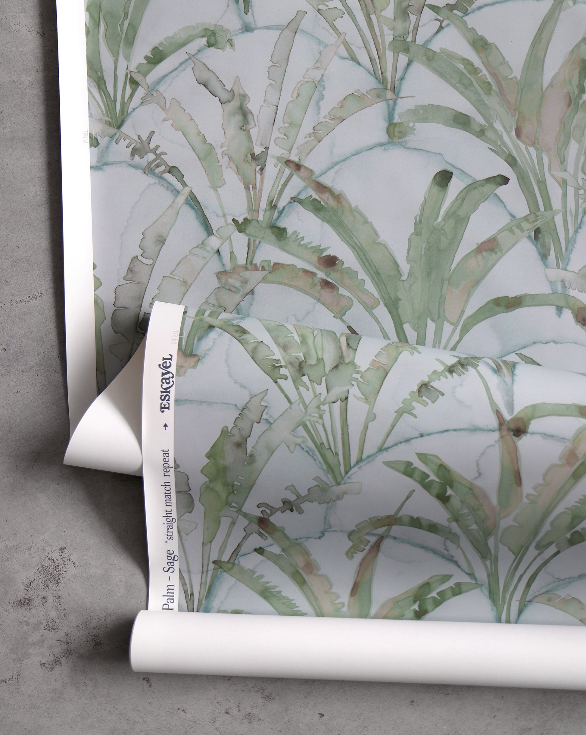 A roll of Travelers Palm wallpaper Sage with palm leaves on it
