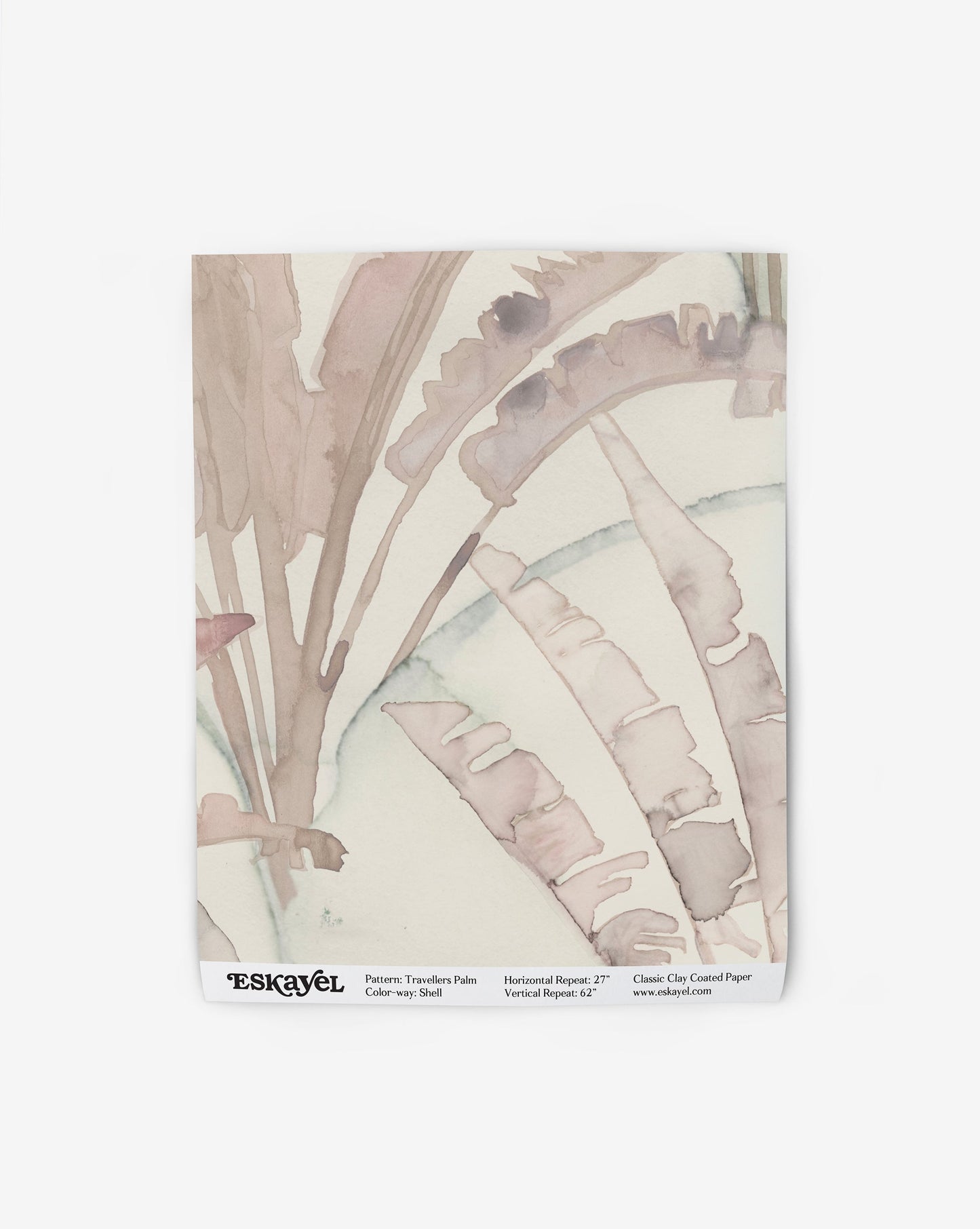 A pink and white paper napkin with a Travelers Palm Wallpaper Shell on it