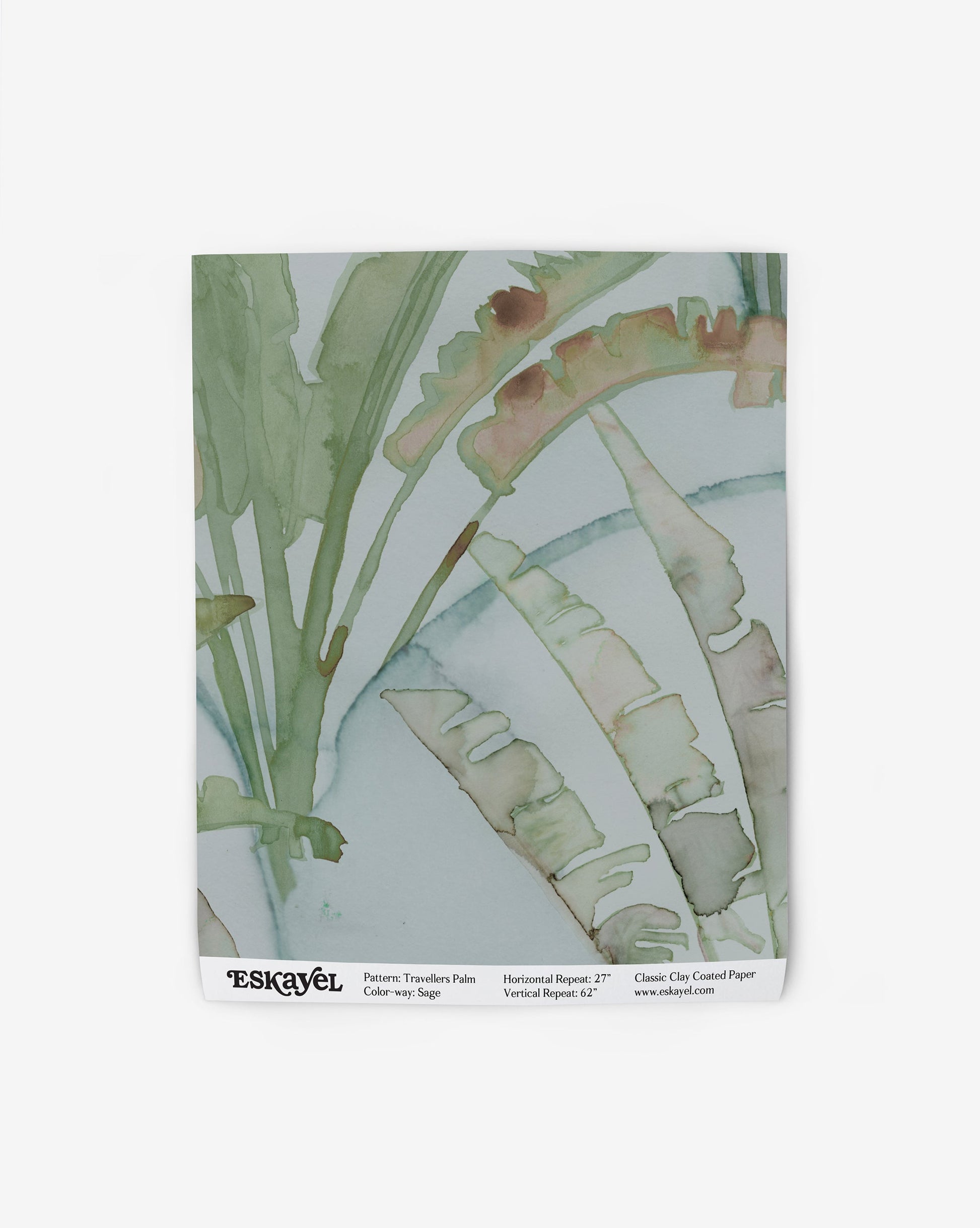 A watercolor painting of a Travelers Palm Wallpaper Sage on a napkin