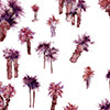 Perfect Palm Wallpaper||Persimmon