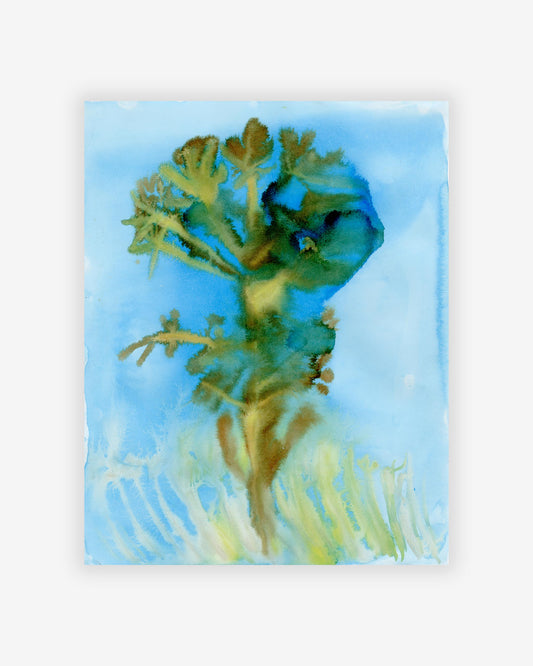 A Monemvasia Print Two painting of a plant by Eskayel, an artist known for their stunning artworks, on a blue background