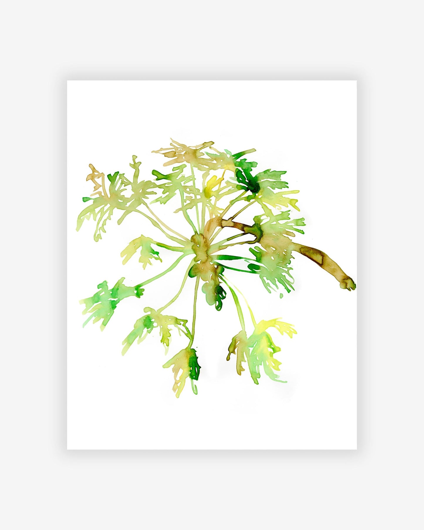 A watercolor painting of a Papaya Fruit Bunch Print by the artist and Eskayel founder on a white background