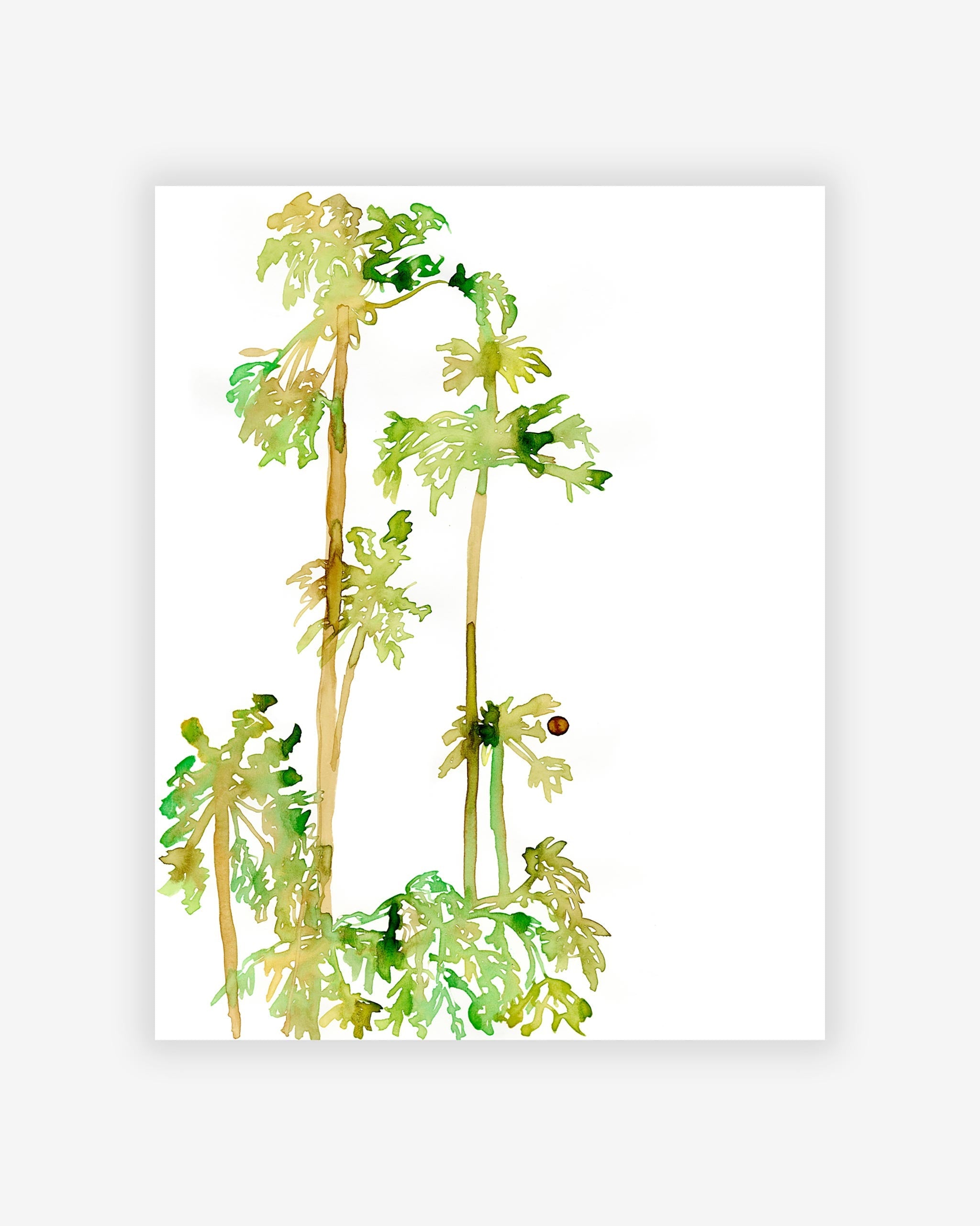 Papaya Tree Isolated Cartoon Style On Stock Vector (Royalty Free)  2011431026 | Shutterstock