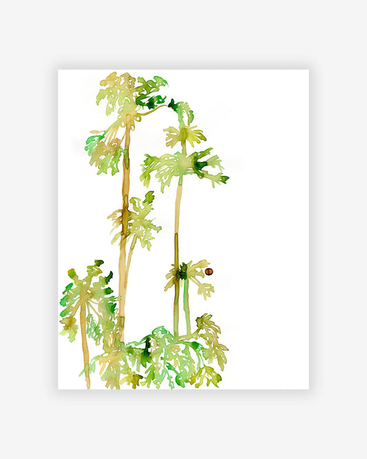 A Papaya Stalks Print of palm trees on a white background