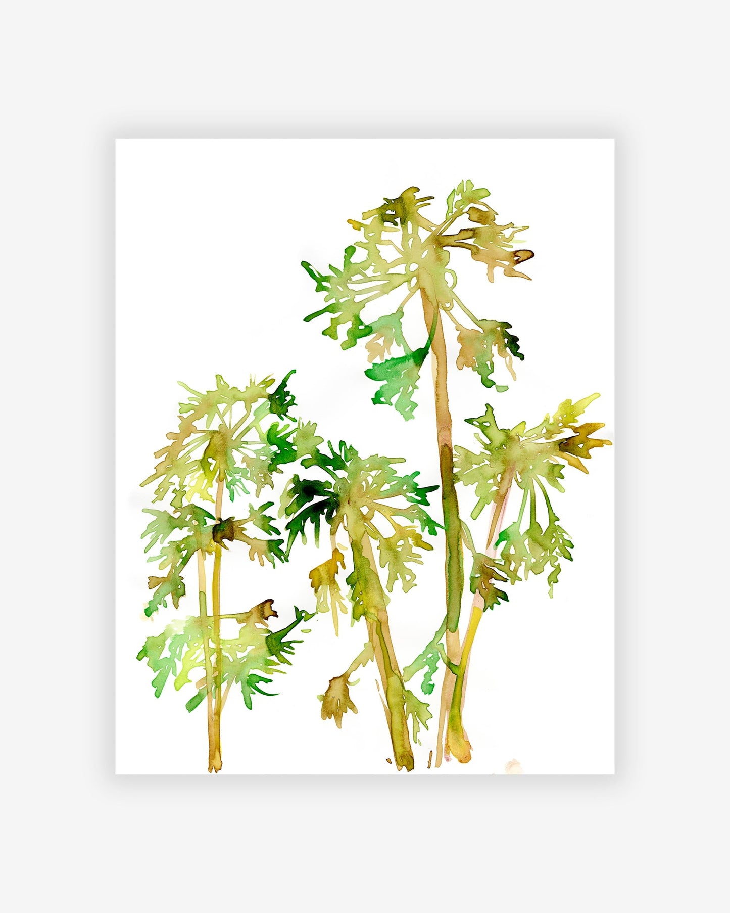 An Artist's Papaya Trees Print of palm trees on a white background
