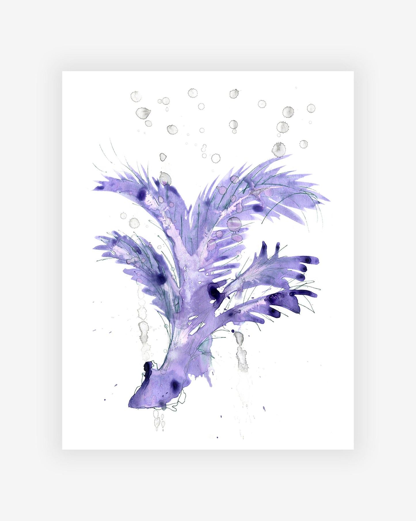 Short Palm Tree Print||2
