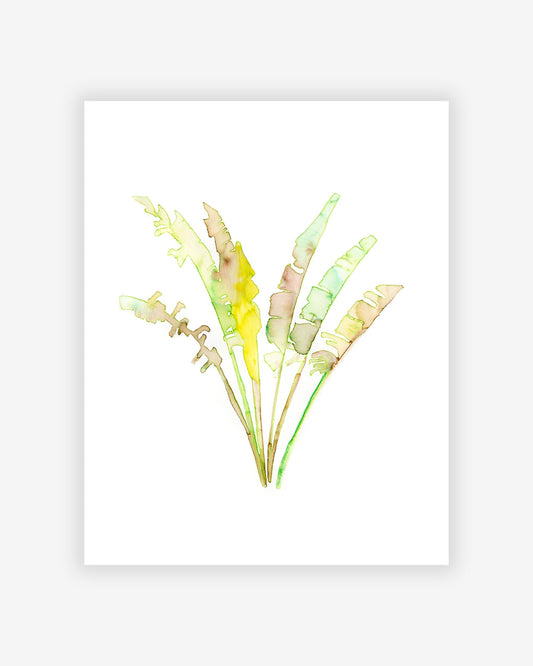 A Travelers Palm Print painting by the artist, showcasing grasses on a white background