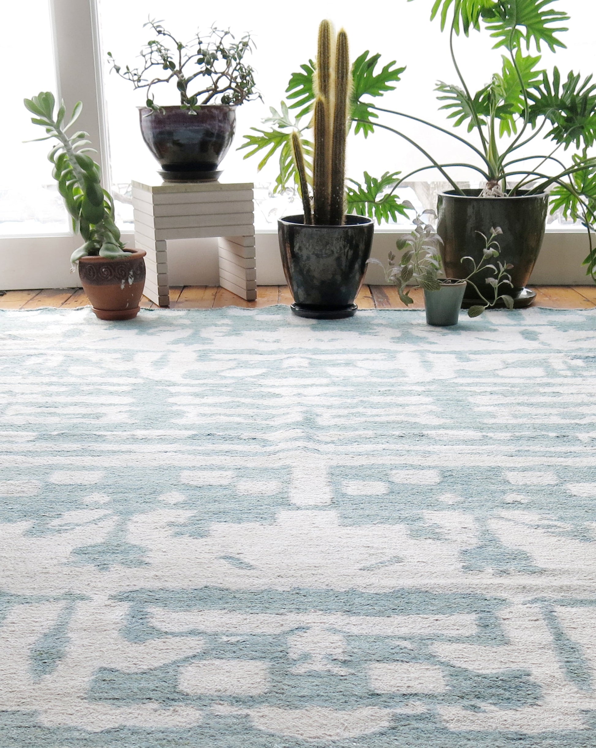 A blue and white Banda Flatweave Rug in a room with potted plants