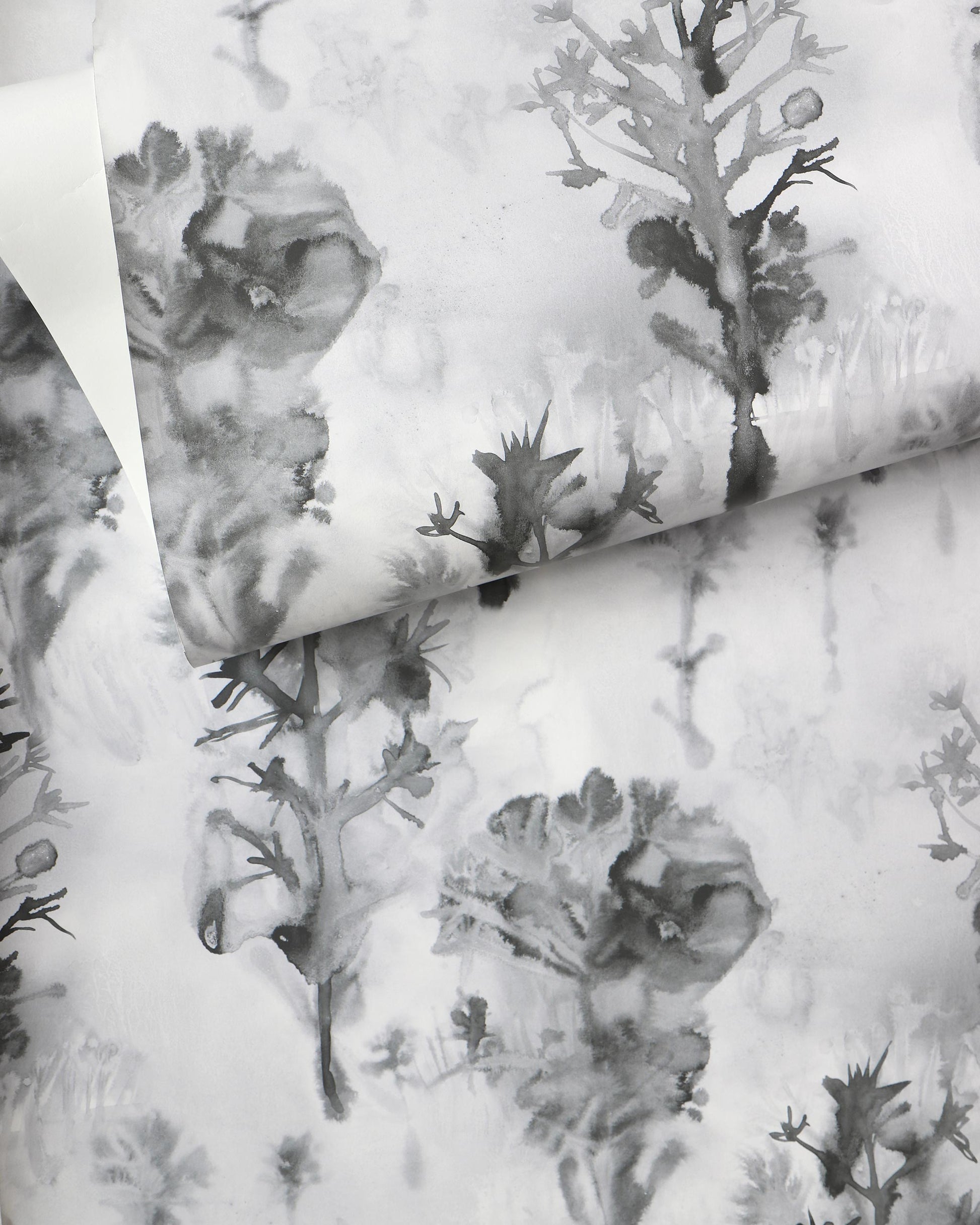 A black and white print of trees on a piece of Aionas Wallpaper
