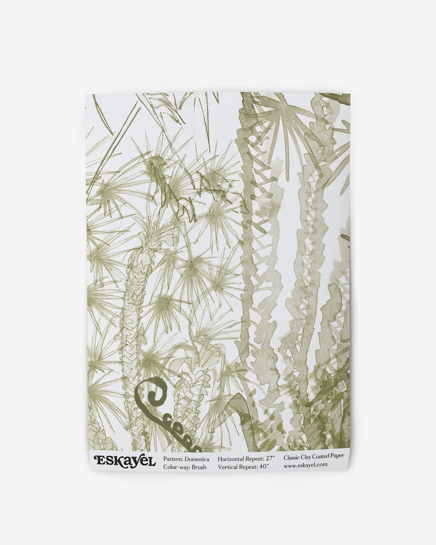 a Domenica Wallpaper Sample Brush with an image of a plant on it