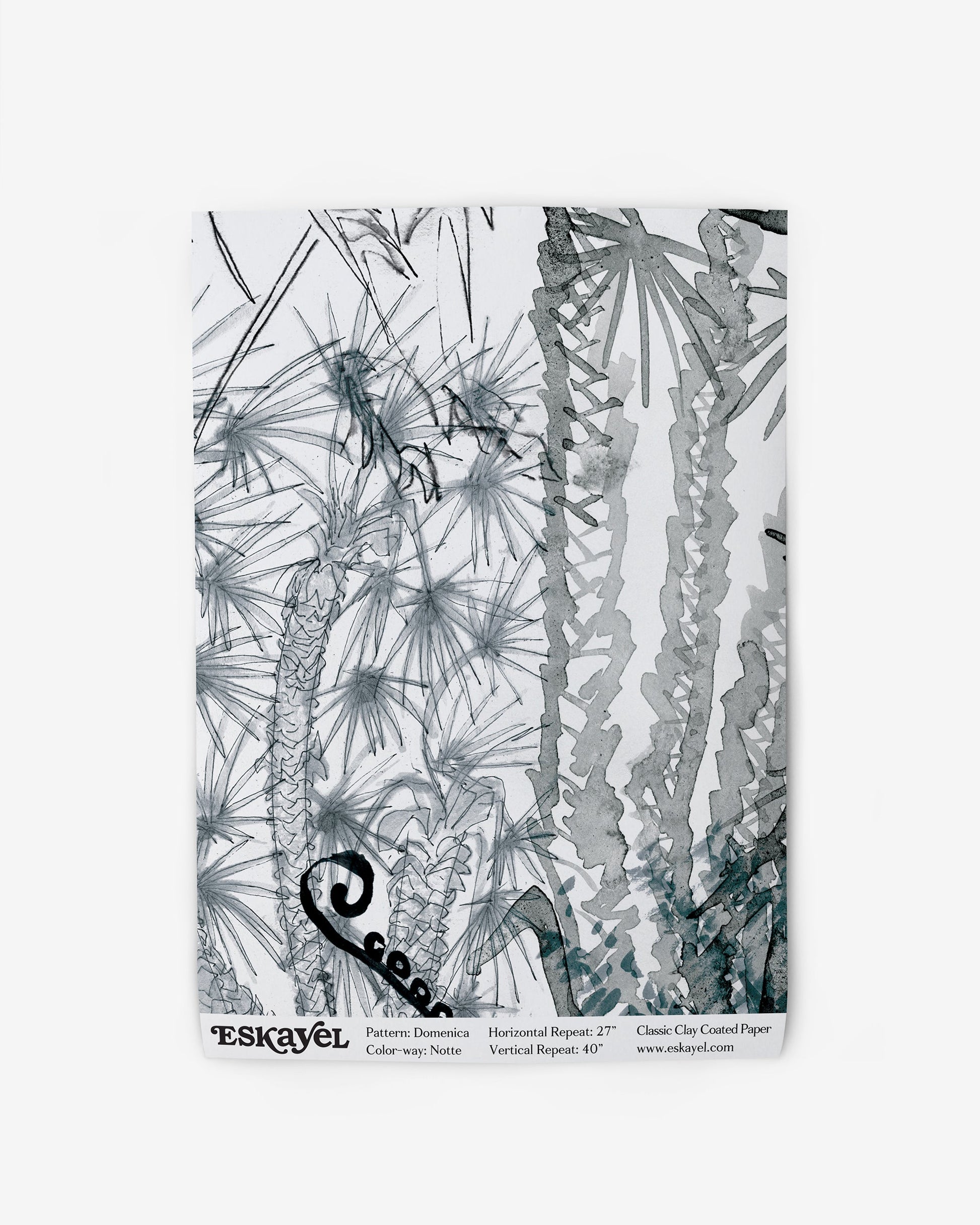 A luxurious black and white drawing of plants from the Salentu Collection, featuring the Domenica Wallpaper Notte pattern