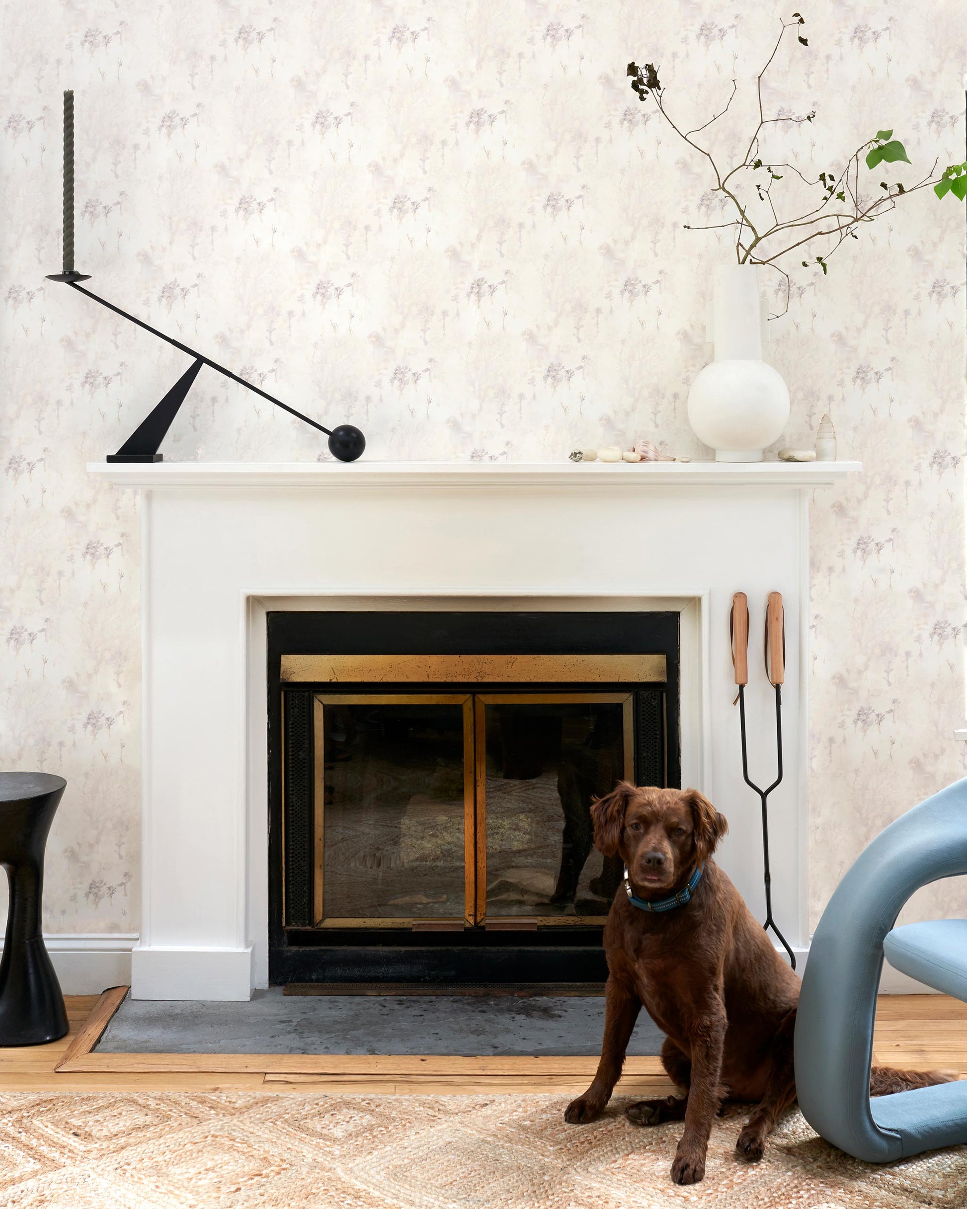 A dog is sitting in front of a fireplace, enjoying the warmth and comfort provided by Emvasia Wallpaper Sol