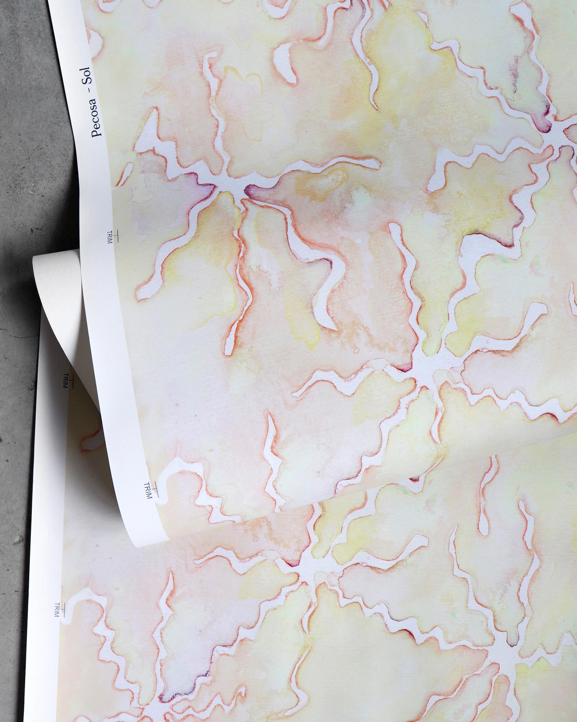 A piece of Pecosa Wallpaper Sol with a pink, yellow, and fabric design on it