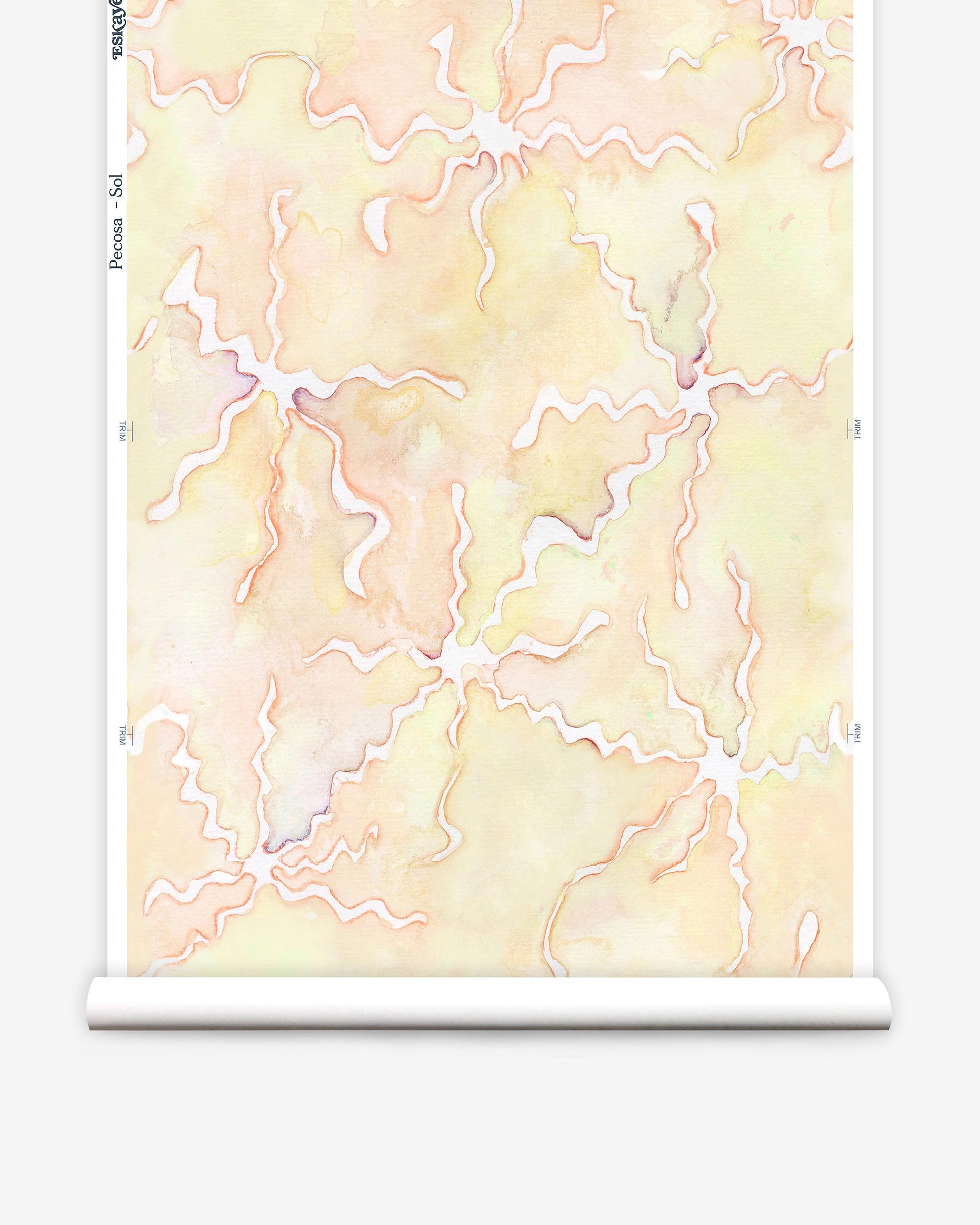 A roll of Pecosa Wallpaper Sol with a pink and yellow pattern